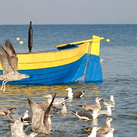 Mierzeja - Park Medium, 500 M Od Plaży, Bezpłatny Meleks Stegna (Pomerania)