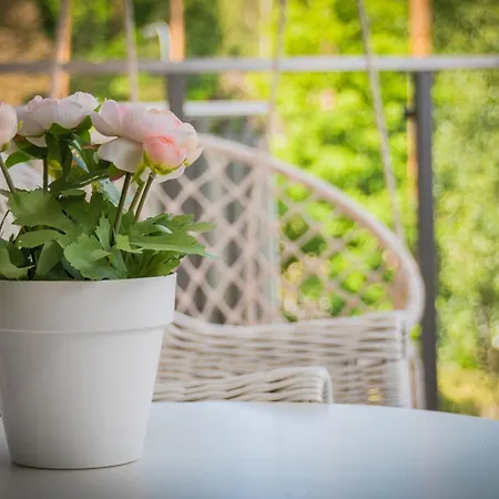 Mierzeja - Park Medium, 500 M Od Plazy, Bezplatny Meleks * Stegna (Pomerania)