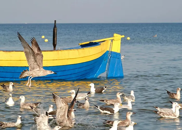 Mierzeja - Park Medium, 500 M Od Plaży, Bezpłatny Meleks Stegna (Pomerania)