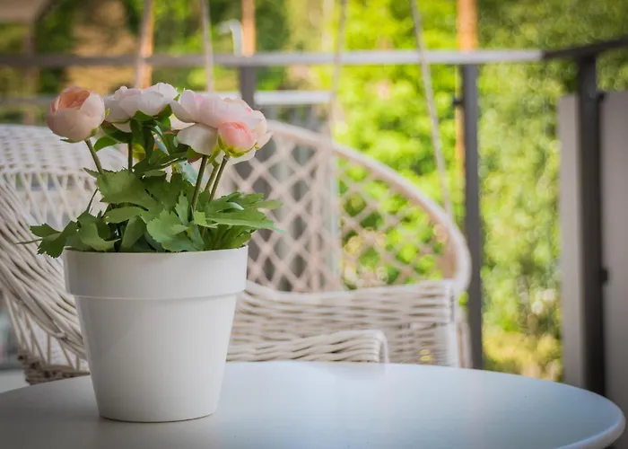 Mierzeja - Park Medium, 500 M Od Plaży, Bezpłatny Meleks * Stegna (Pomerania)